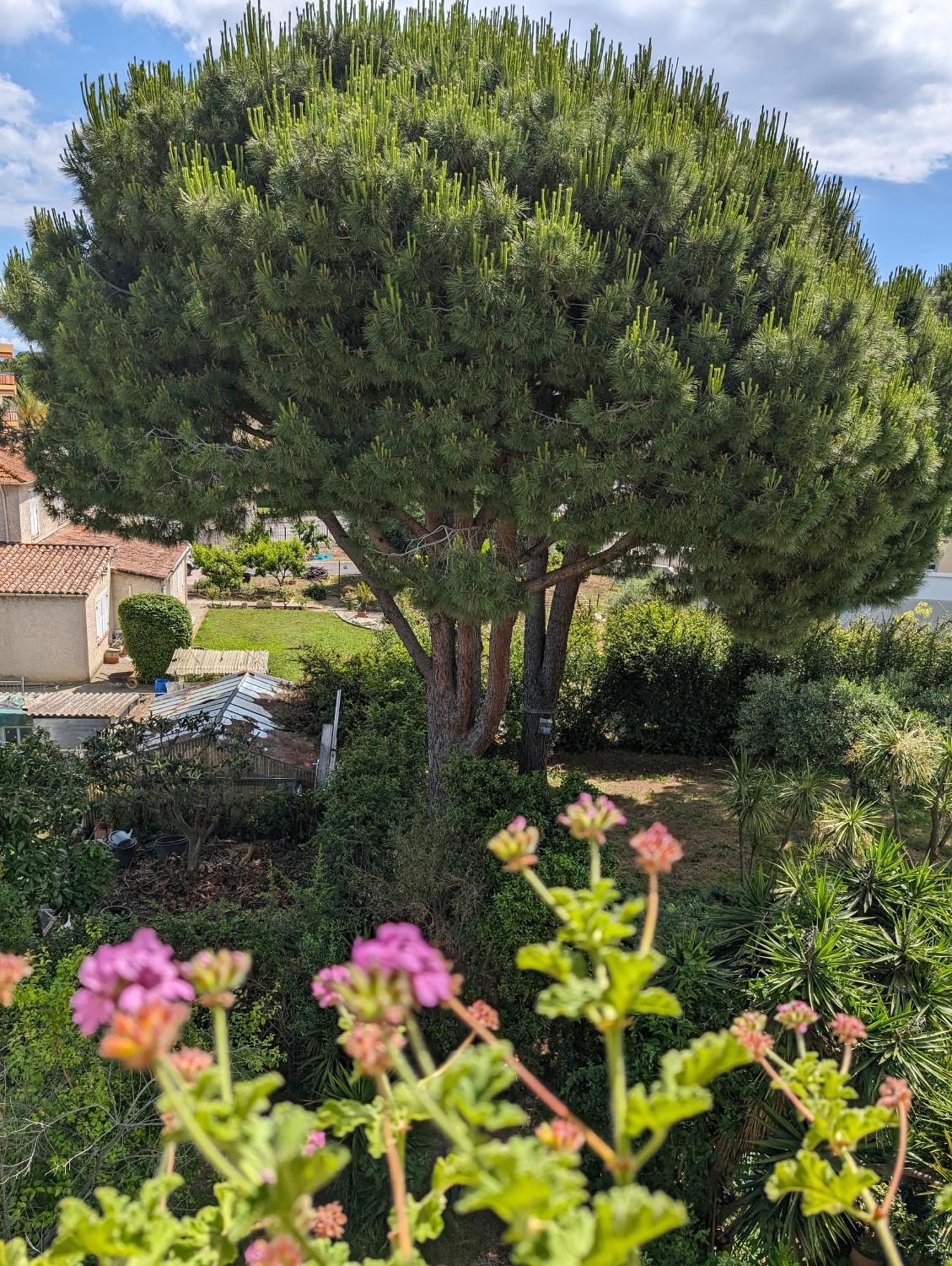 Studio Calme Dernier Etage Antibes Exterior foto